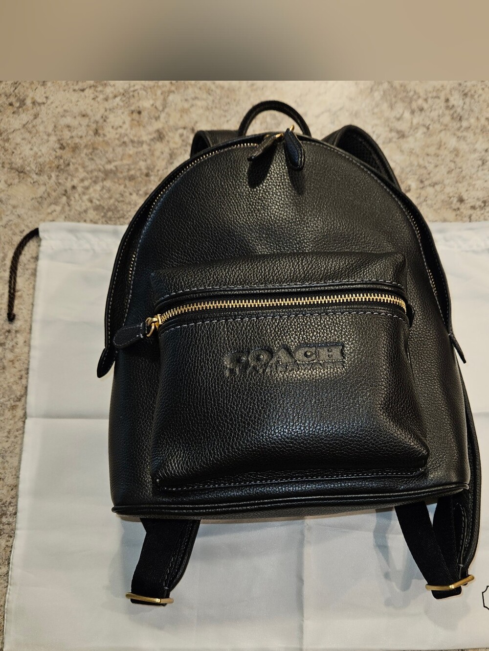 Beautiful Coach Charter 24 Pebbled Leather Backpack, Pristine Condition.
